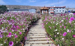 名人传在线阅读